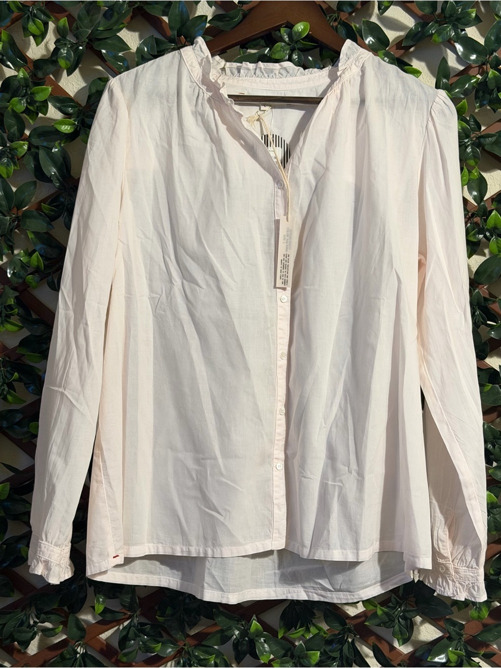 XiRENA Pale Pink Button-Down Ruffle Collar Blouse